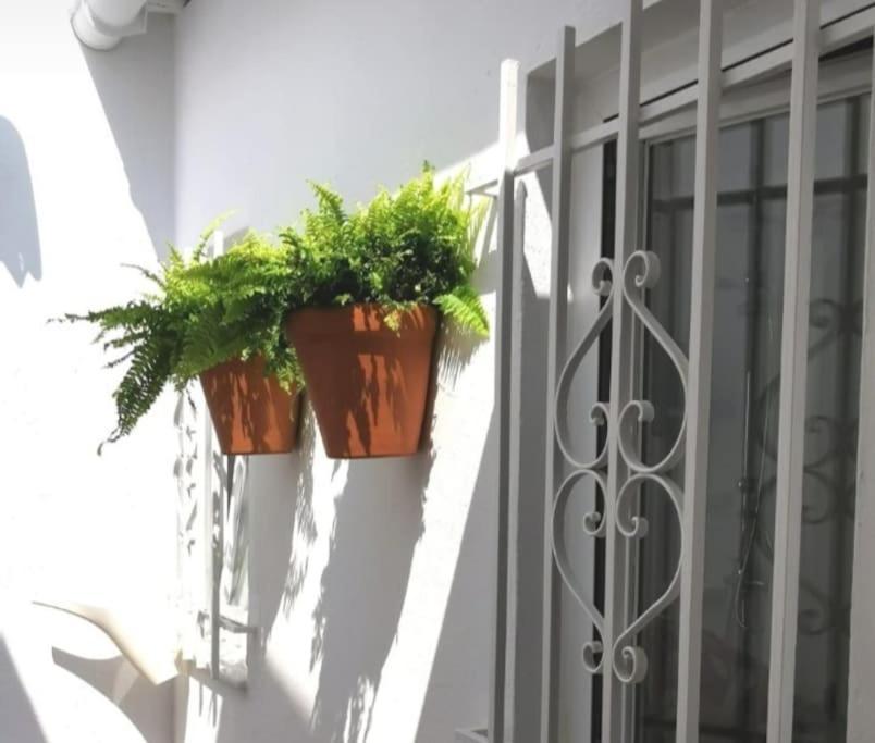 La Marieta, Casita Acogedora Y Centrica Villa Castilleja de la Cuesta Exterior foto